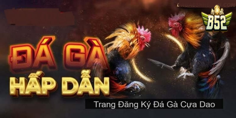Hướng dẫn đăng ký đá gà trực tuyến chi tiết